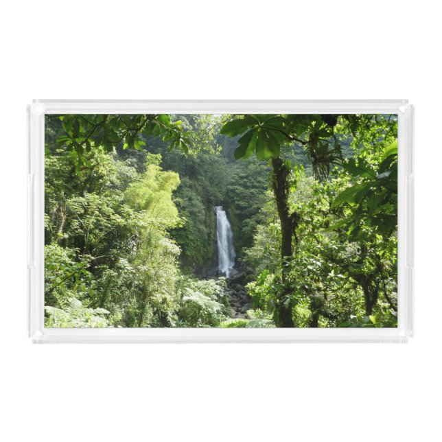 Trafalgar Falls Tropical Rainforest Photography Acrylic Tray (Front)