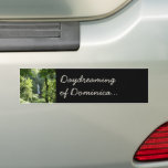 Trafalgar Falls Tropical Rainforest Photography Bumper Sticker