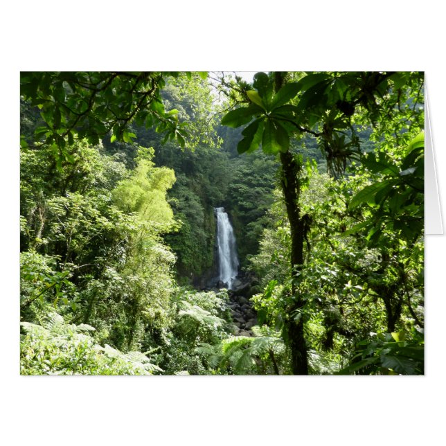 Trafalgar Falls Tropical Rainforest Photography Card (Front Horizontal)