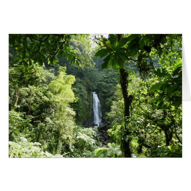Trafalgar Falls Tropical Rainforest Photography Cards (Front Horizontal)