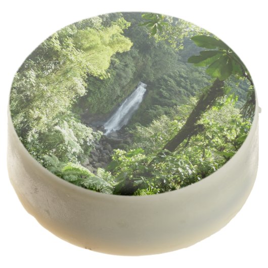 Trafalgar Falls Tropical Rainforest Photography Chocolate Covered Oreo (Angled)