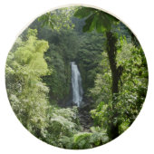 Trafalgar Falls Tropical Rainforest Photography Chocolate Covered Oreo (Front)