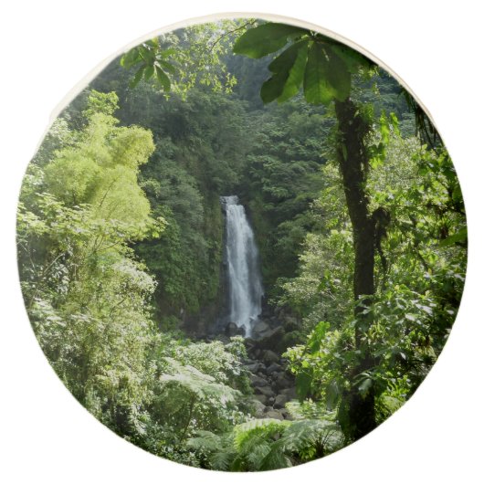Trafalgar Falls Tropical Rainforest Photography Chocolate Covered Oreo (Front)