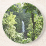 Trafalgar Falls Tropical Rainforest Photography Coaster