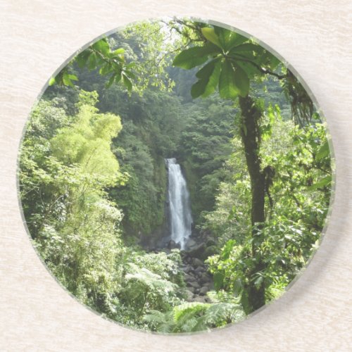 Trafalgar Falls Tropical Rainforest Photography Coaster