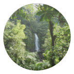 Trafalgar Falls Tropical Rainforest Photography Eraser