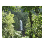 Trafalgar Falls Tropical Rainforest Photography Faux Canvas Print