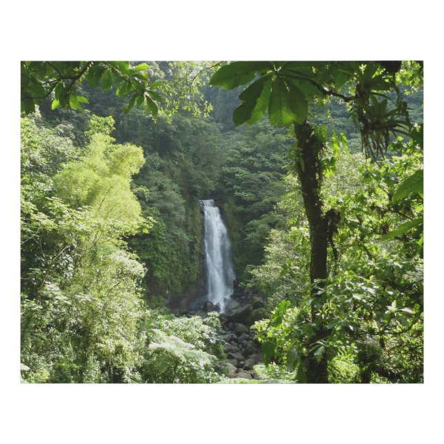 Trafalgar Falls Tropical Rainforest Photography Faux Canvas Print (Front)