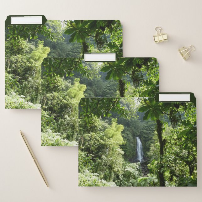 Trafalgar Falls Tropical Rainforest Photography File Folder (Set)