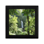 Trafalgar Falls Tropical Rainforest Photography Gift Box