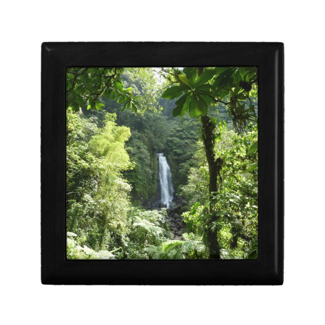 Trafalgar Falls Tropical Rainforest Photography Gift Box (Front)