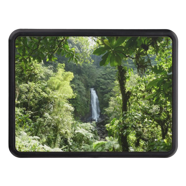Trafalgar Falls Tropical Rainforest Photography Hitch Cover (Front)