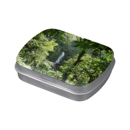 Trafalgar Falls Tropical Rainforest Photography Jelly Belly Tin (Side)