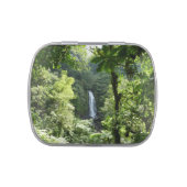 Trafalgar Falls Tropical Rainforest Photography Jelly Belly Tin (Top)