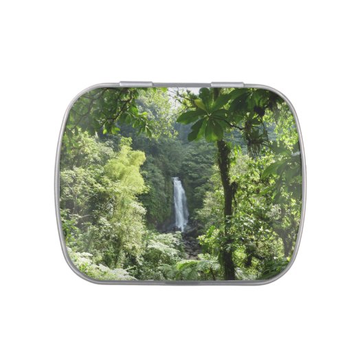 Trafalgar Falls Tropical Rainforest Photography Jelly Belly Tin (Top)