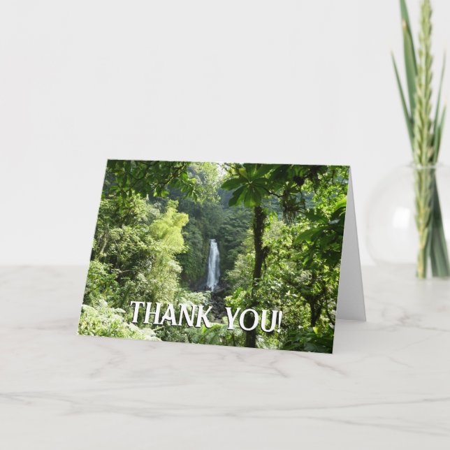 Trafalgar Falls Tropical Rainforest Photography Letterpress Thank You Card (Front)
