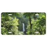 Trafalgar Falls Tropical Rainforest Photography License Plate