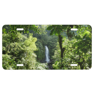 Trafalgar Falls Tropical Rainforest Photography License Plate