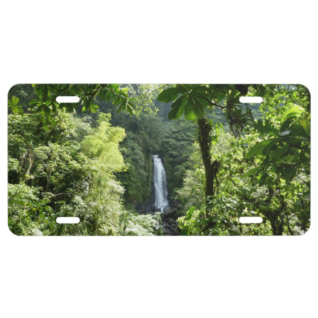 Trafalgar Falls Tropical Rainforest Photography License Plate (Front)