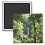 Trafalgar Falls Tropical Rainforest Photography Magnet