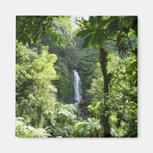 Trafalgar Falls Tropical Rainforest Photography Magnet