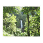 Trafalgar Falls Tropical Rainforest Photography Metal Print
