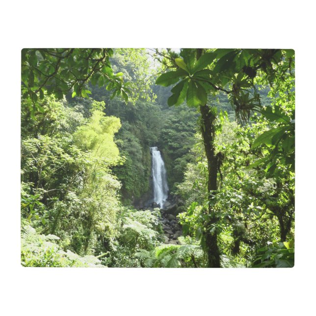 Trafalgar Falls Tropical Rainforest Photography Metal Print (Front)