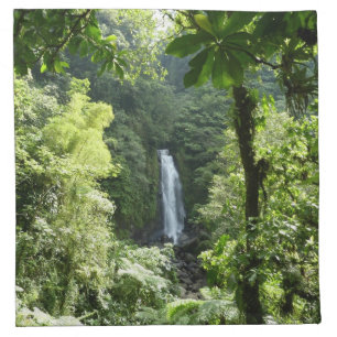 Trafalgar Falls Tropical Rainforest Photography Napkin