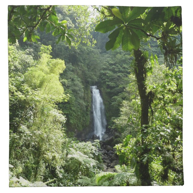 Trafalgar Falls Tropical Rainforest Photography Napkin (Front)