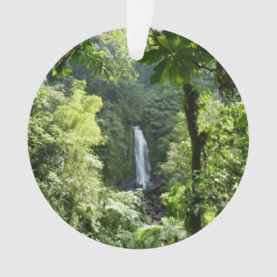 Trafalgar Falls Tropical Rainforest Photography Ornament