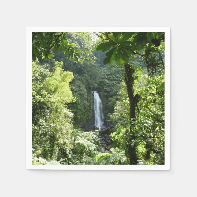 Trafalgar Falls Tropical Rainforest Photography Paper Napkins (Front)