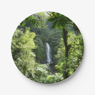 Trafalgar Falls Tropical Rainforest Photography Paper Plates