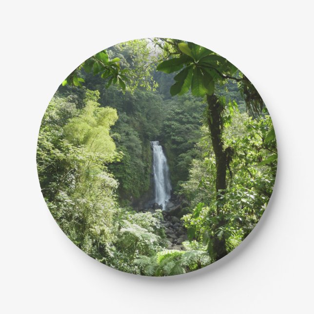 Trafalgar Falls Tropical Rainforest Photography Paper Plates (Front)