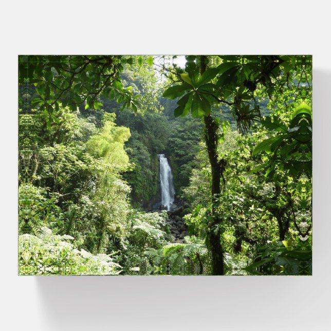 Trafalgar Falls Tropical Rainforest Photography Paperweight (Front)