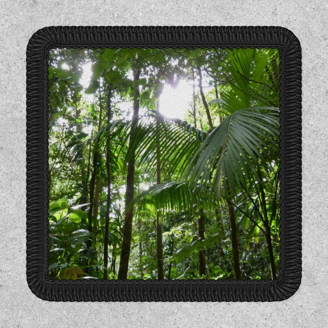 Trafalgar Falls Tropical Rainforest Photography Patch (Front)