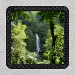 Trafalgar Falls Tropical Rainforest Photography Patch