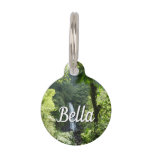 Trafalgar Falls Tropical Rainforest Photography Pet ID Tag