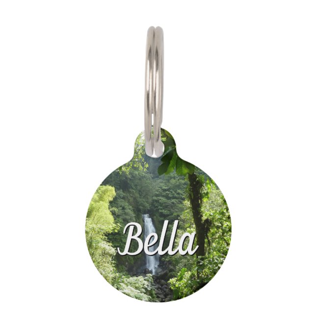 Trafalgar Falls Tropical Rainforest Photography Pet ID Tag (Front)