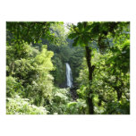 Trafalgar Falls Tropical Rainforest Photography Photo Print