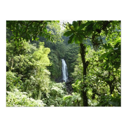 Trafalgar Falls Tropical Rainforest Photography Photo Print