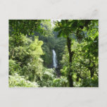 Trafalgar Falls Tropical Rainforest Photography Postcard