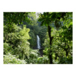 Trafalgar Falls Tropical Rainforest Photography Poster