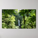 Trafalgar Falls Tropical Rainforest Photography Poster