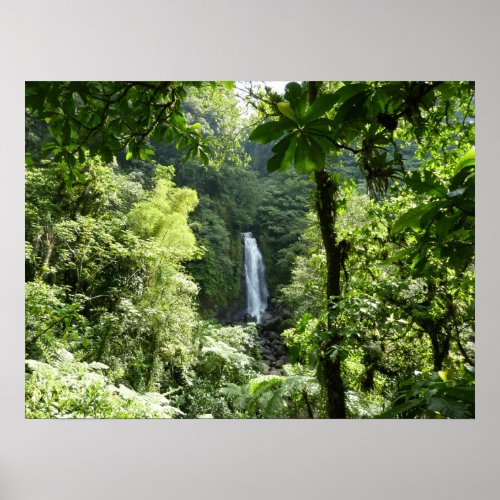 Trafalgar Falls Tropical Rainforest Photography Poster