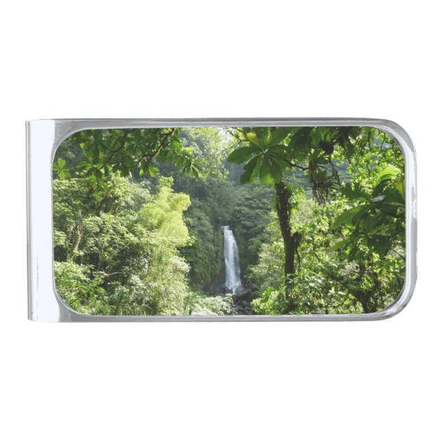 Trafalgar Falls Tropical Rainforest Photography Silver Finish Money Clip (Front)