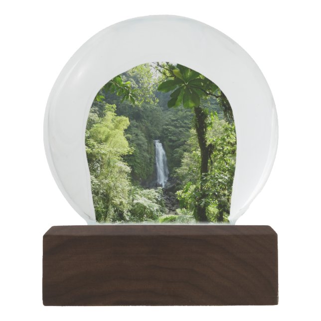 Trafalgar Falls Tropical Rainforest Photography Snow Globe (Front)