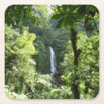 Trafalgar Falls Tropical Rainforest Photography Square Paper Coaster