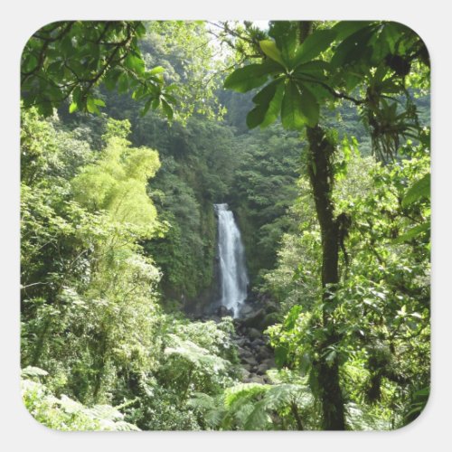 Trafalgar Falls Tropical Rainforest Photography Square Sticker