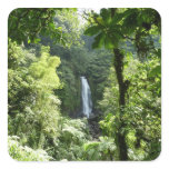 Trafalgar Falls Tropical Rainforest Photography Square Sticker