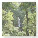 Trafalgar Falls Tropical Rainforest Photography Stone Coaster